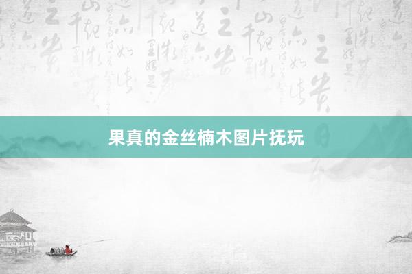 果真的金丝楠木图片抚玩