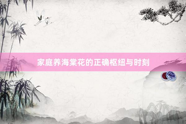 家庭养海棠花的正确枢纽与时刻